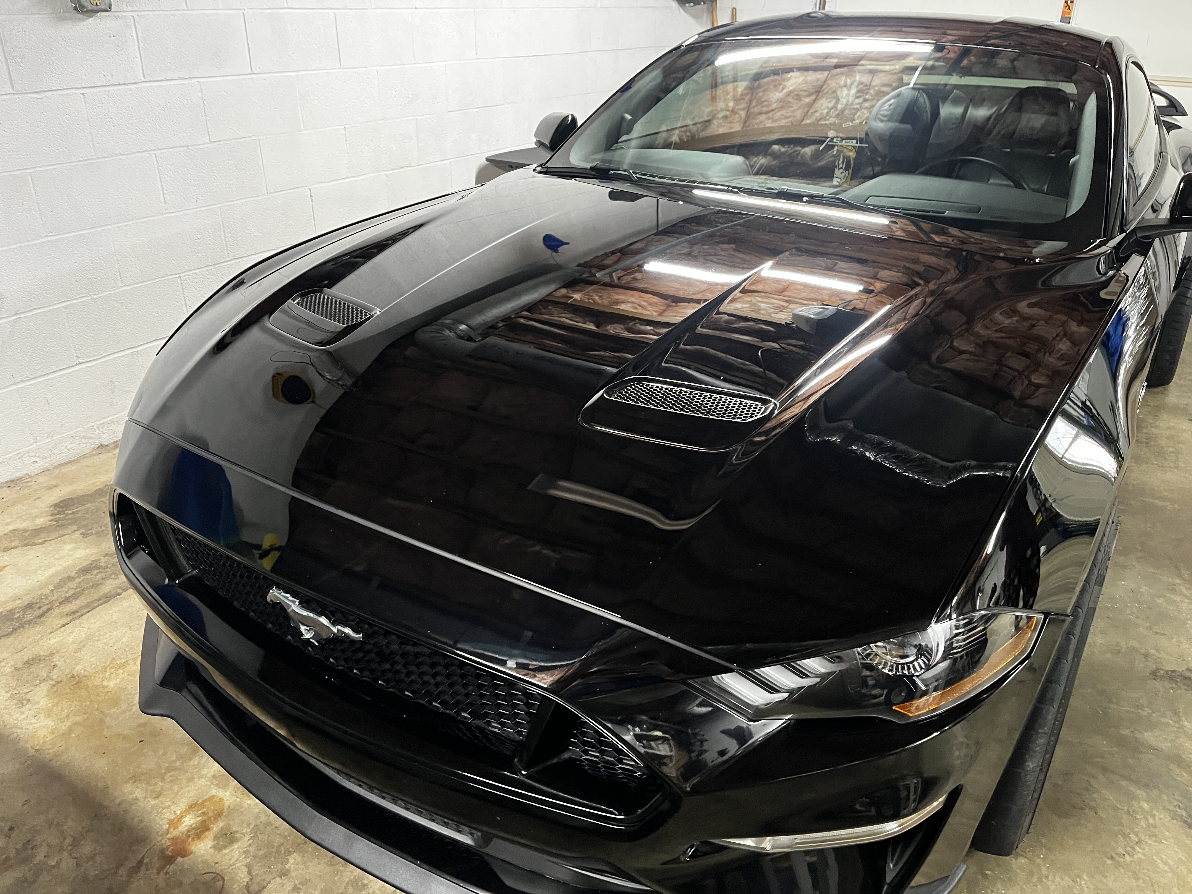 Black Mustang paint correction and ceramic coating