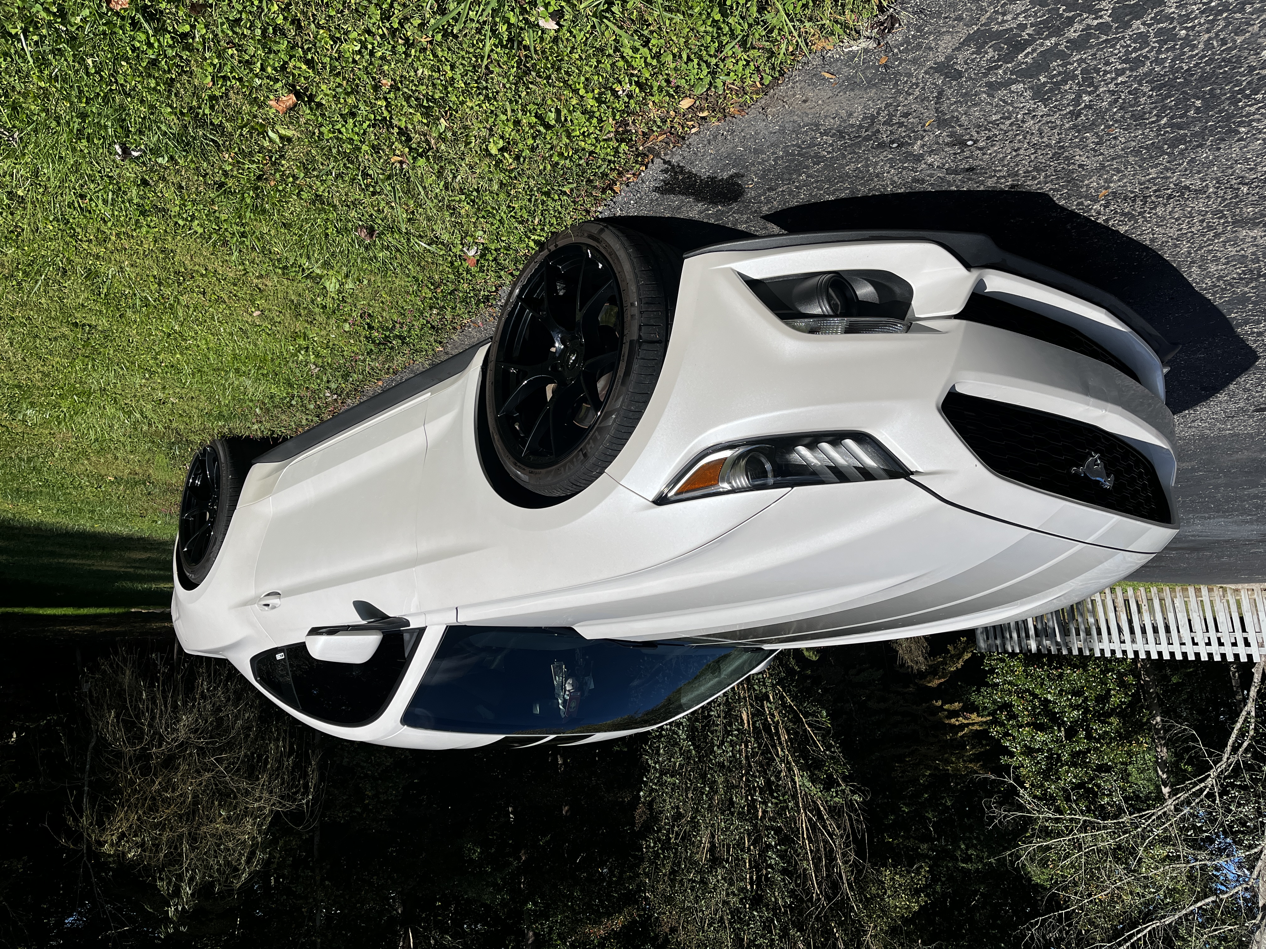 White Mustang detailing