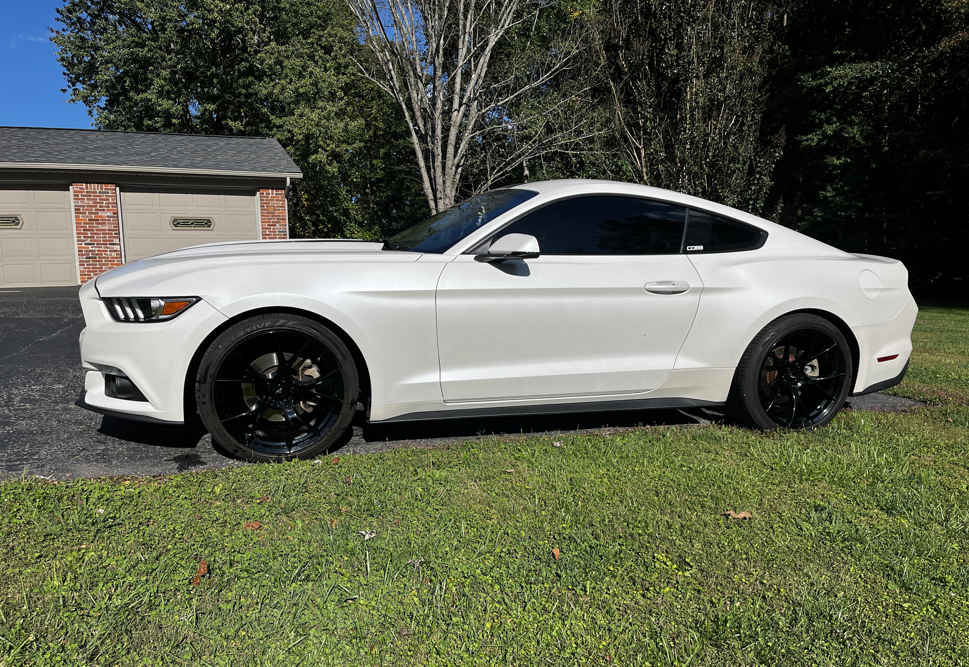 White Mustang detailing