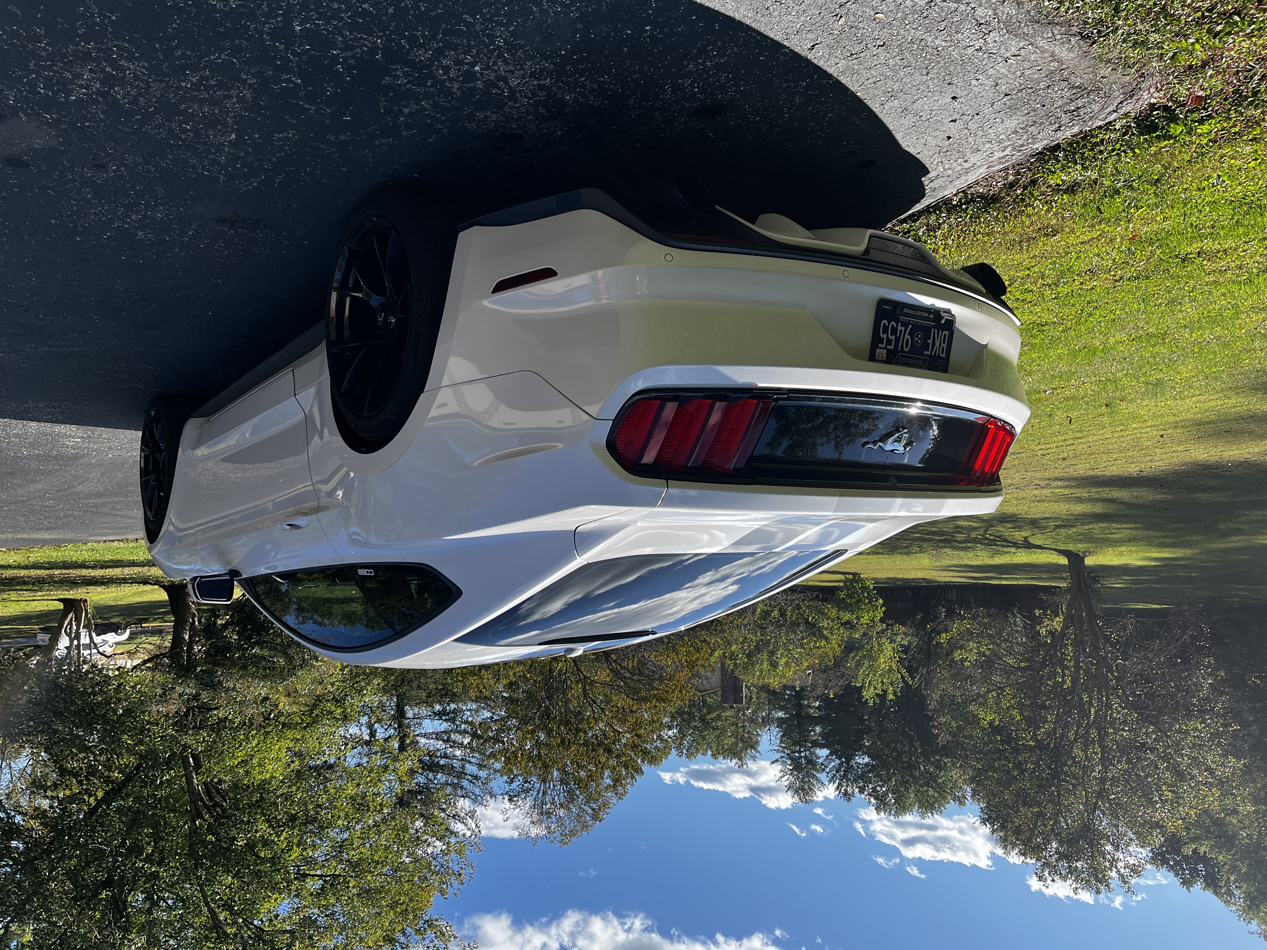White Mustang detailing