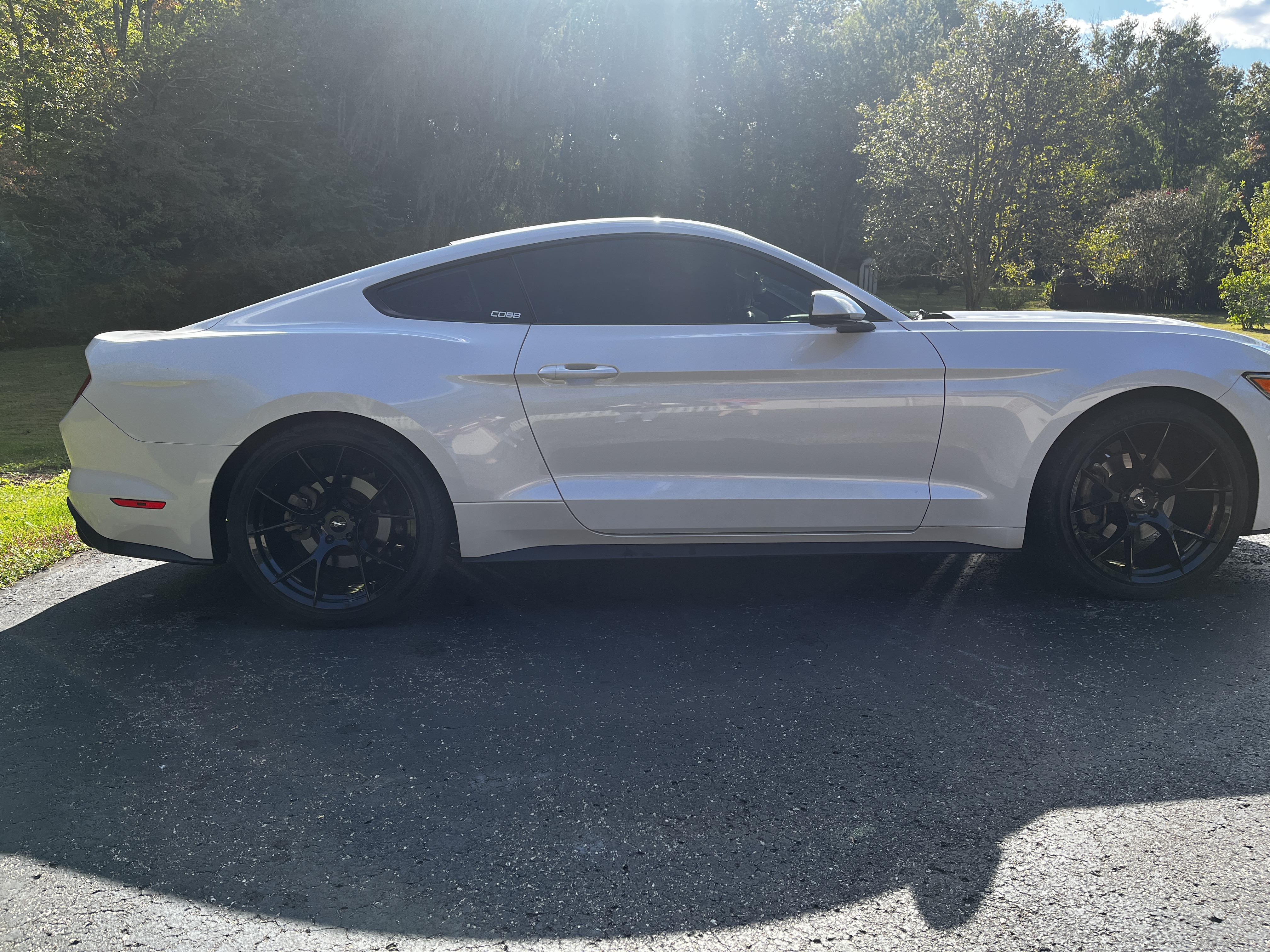 White Mustang detailing