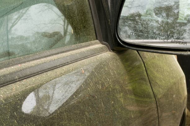 Close-up of pollen accumulation on dark-colored paint